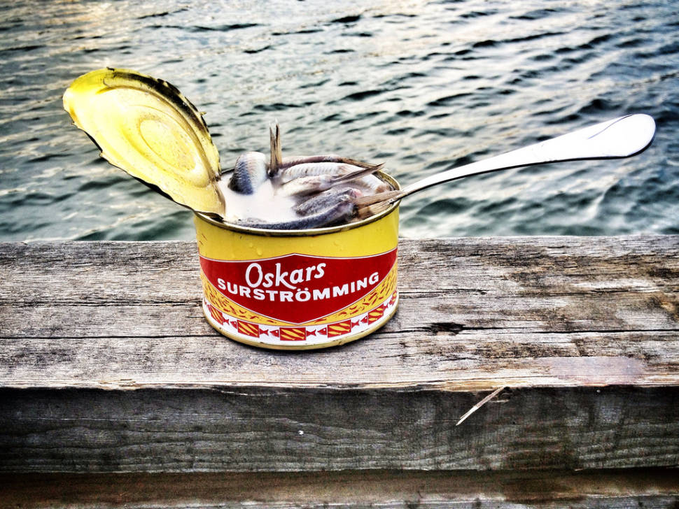 Surströmming or Sour Herring in Sweden - Best Time