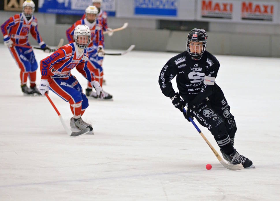 Swedish Bandy in Sweden - Best Season