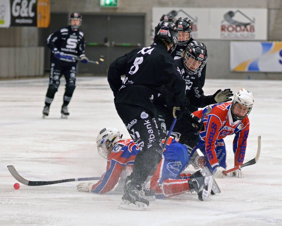 Best time for Swedish Bandy in Sweden