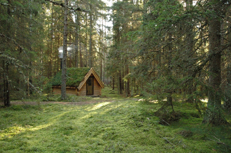 Best time for Tree House Hotel in Sweden