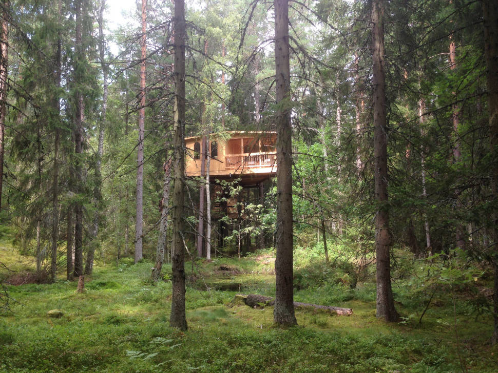 Tree House Hotel in Sweden - Best Time