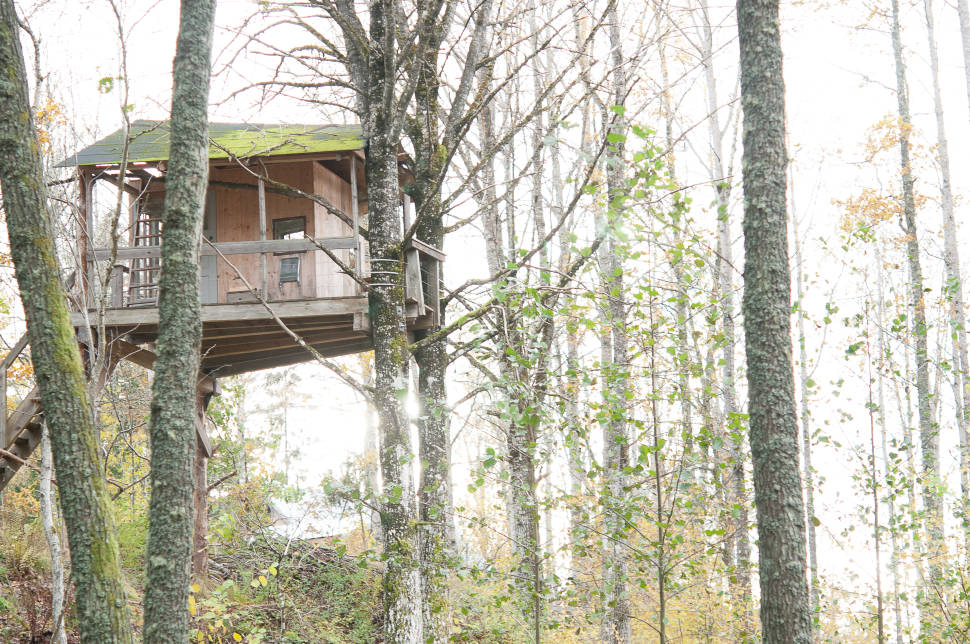 Tree House Hotel in Sweden - Best Season