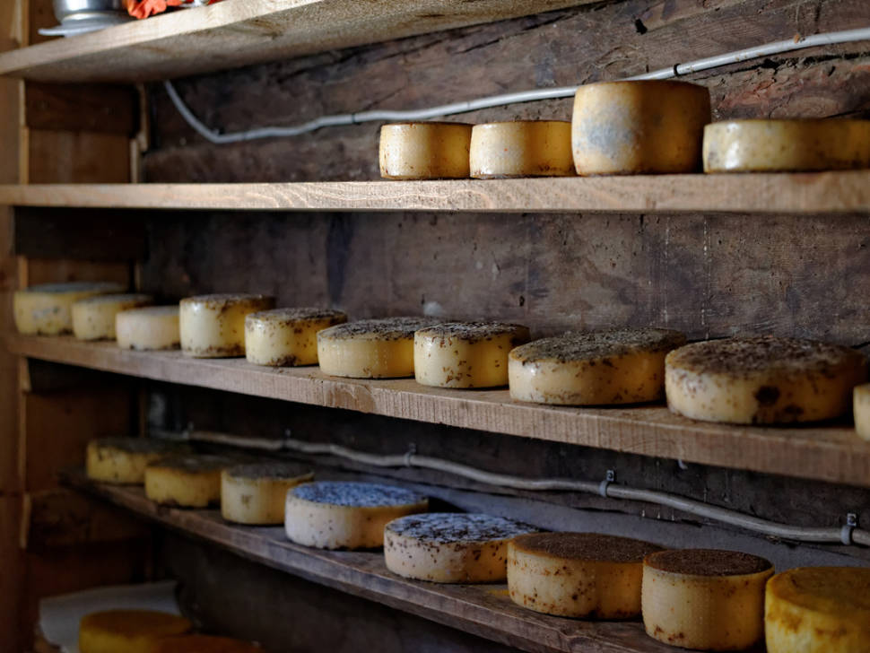 Cheese in Switzerland - Best Time