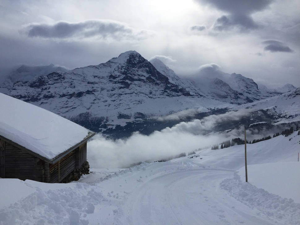 Faulhorn-Grindelwald Toboggan in Switzerland - Best Season