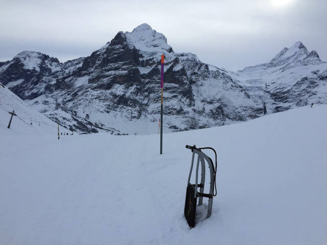 Faulhorn-Grindelwald Toboggan in Switzerland - Best Time