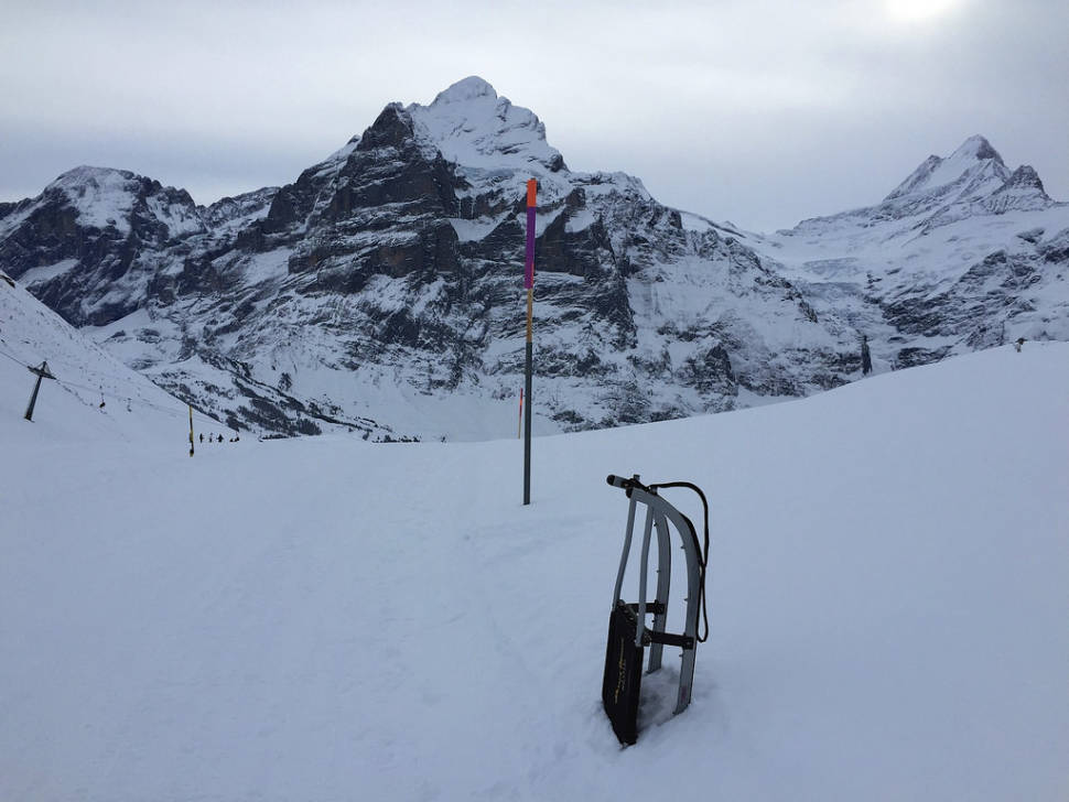 Faulhorn-Grindelwald Toboggan in Switzerland - Best Time