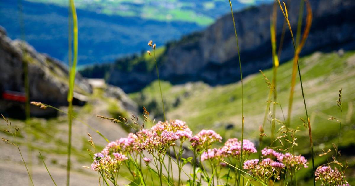 Summer in Switzerland - Best Time