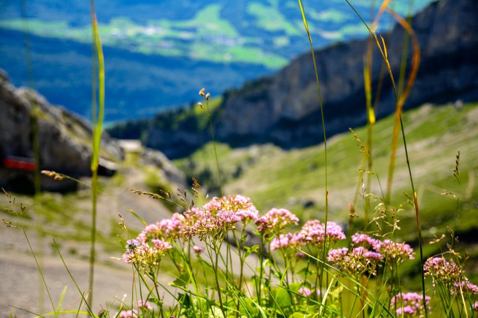 Summer in Switzerland - Best Time