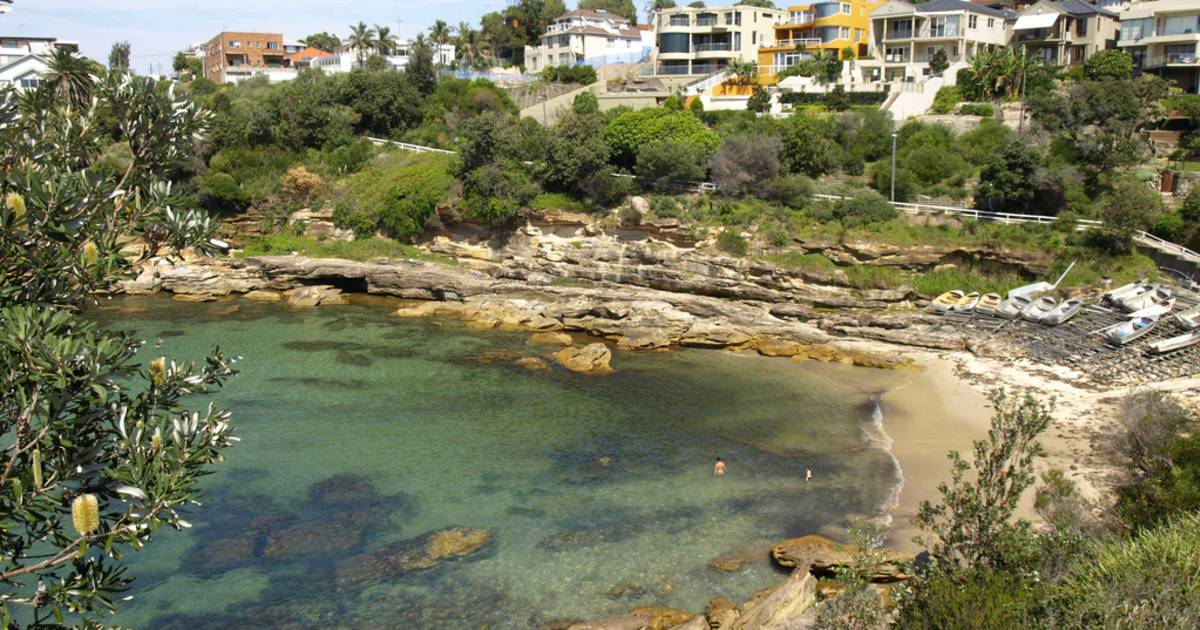 Diving in Gordon's Bay in Sydney - Best Time