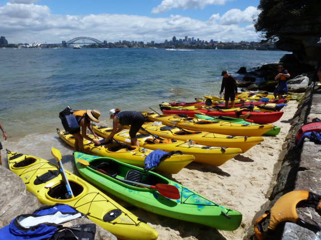 Kayaking in Sydney - Best Time