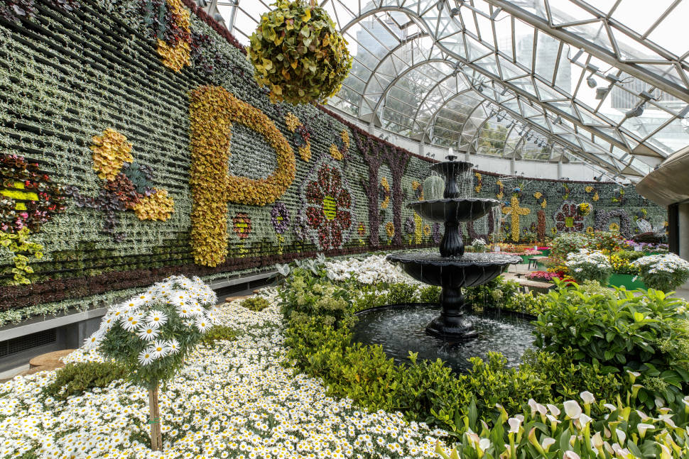 Pollination floral display at The Calyx