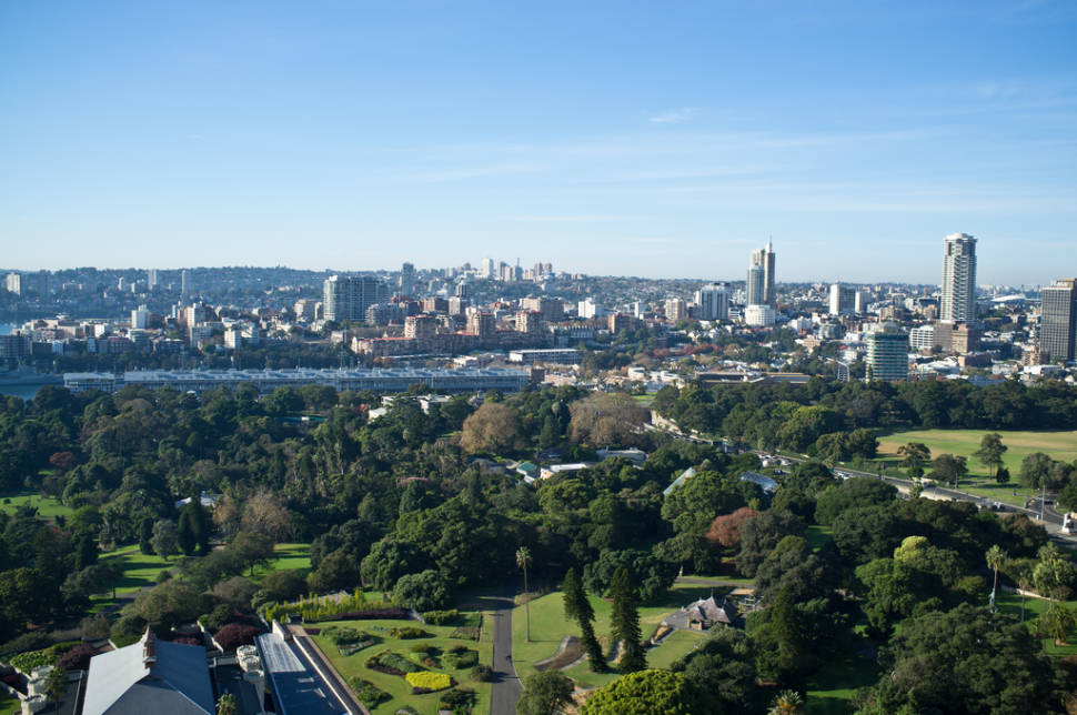 Looking out over the Royal Botanic Gardens