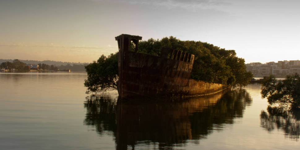 SS Ayrfield Shipwreck in Sydney - Best Time