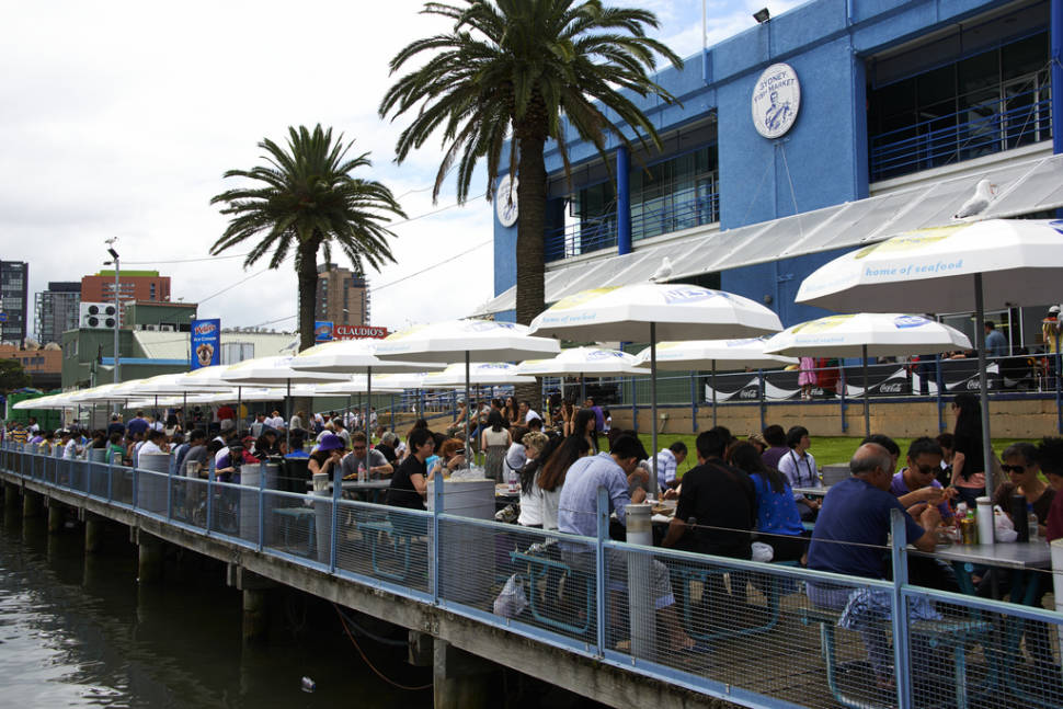 Best time for Sydney Fish Market in Sydney