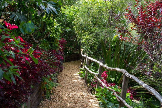 Wendy's Secret Garden in Sydney - Best Time