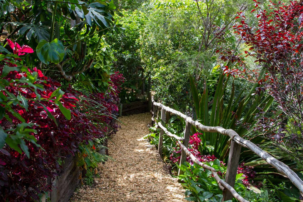 Wendy's Secret Garden in Sydney - Best Time