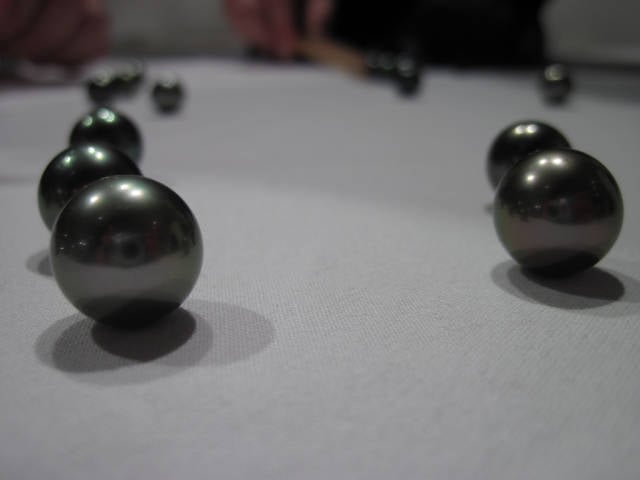 Tahitian Pearl Harvest in Tahiti - Best Season