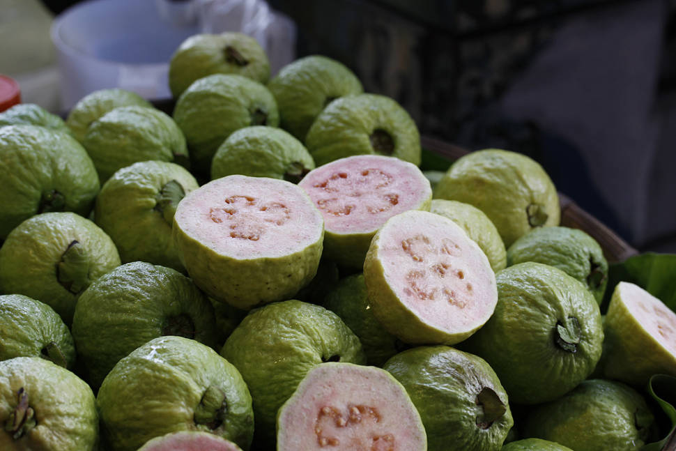 Best time for Guava in Taiwan