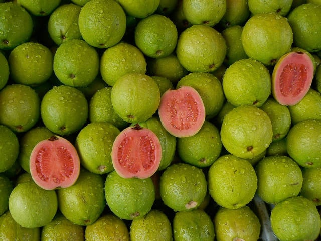 Guava in Taiwan - Best Season