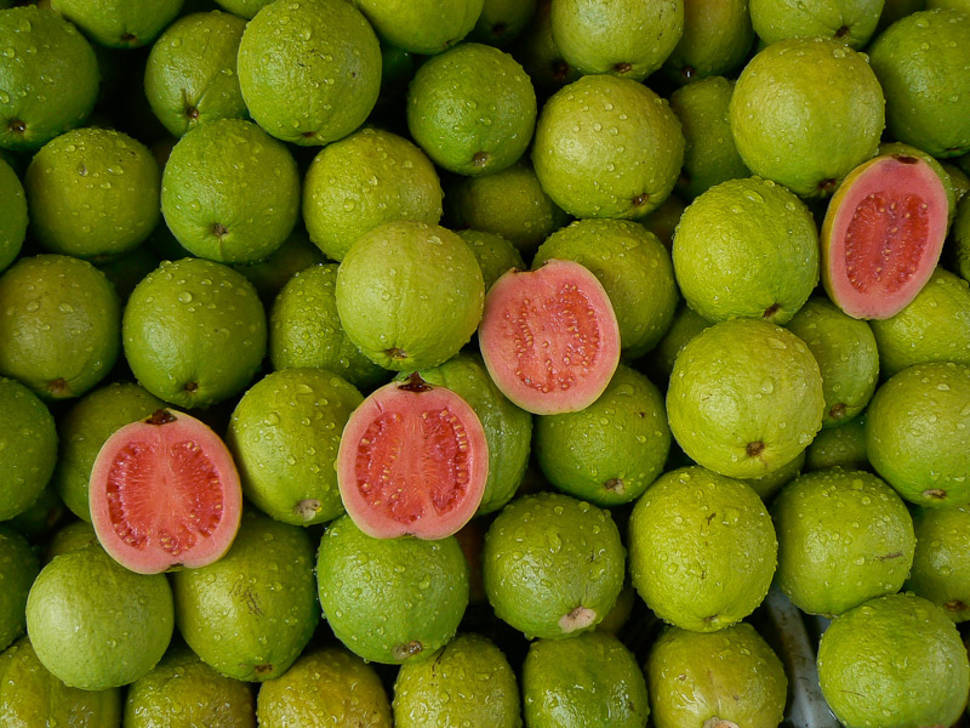 Guava in Taiwan - Best Season