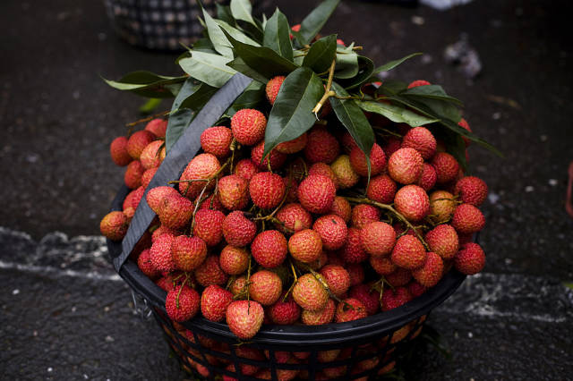 Best time for Litchi in Taiwan