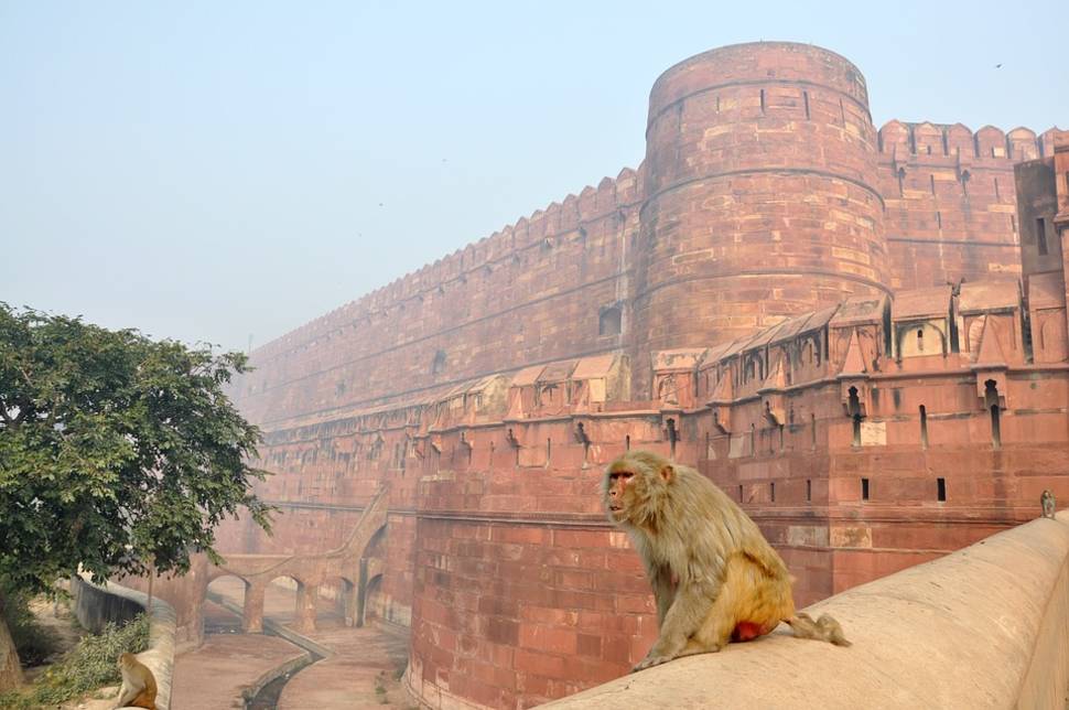 Best time for Agra Fort in Taj Mahal and Agra