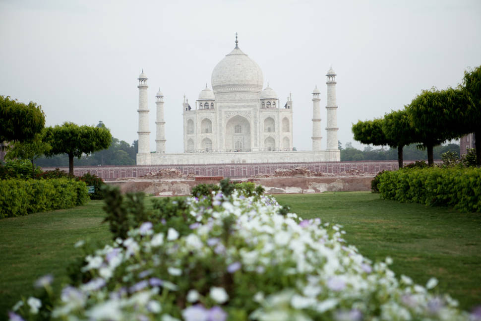 Gardens of Agra after the Monsoon in Taj Mahal and Agra - Best Season