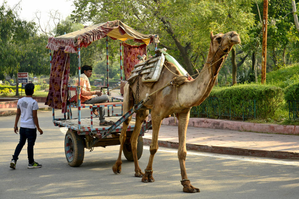 Visiting Paliwal Park in Taj Mahal and Agra - Best Time