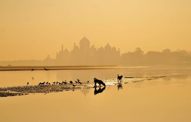 Best time for Sunrise and Sunset near Taj Mahal in Taj Mahal and Agra