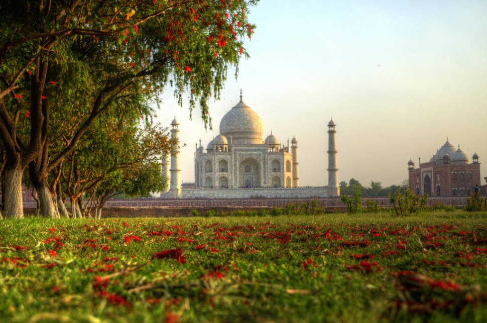 Taj Nature Walk Blooming in Taj Mahal and Agra - Best Season