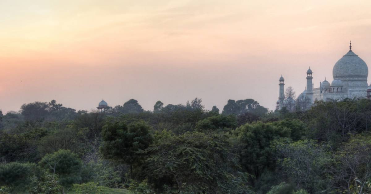 Taj Nature Walk Blooming in Taj Mahal and Agra - Best Time