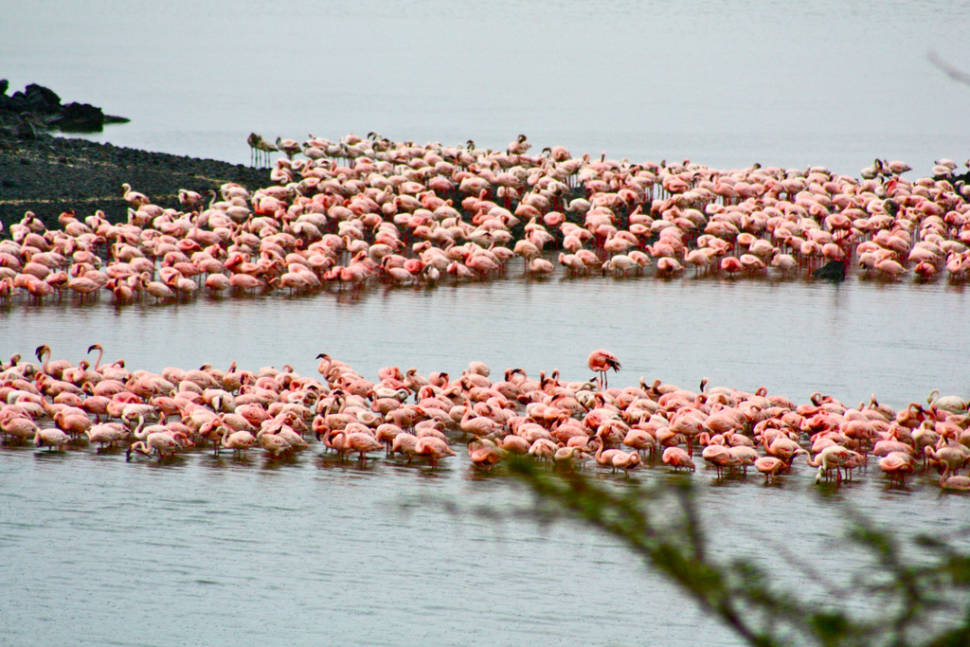 Arusha National Park