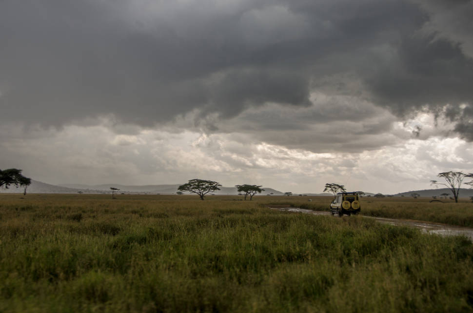 Long Rainy Season in Tanzania - Best Time