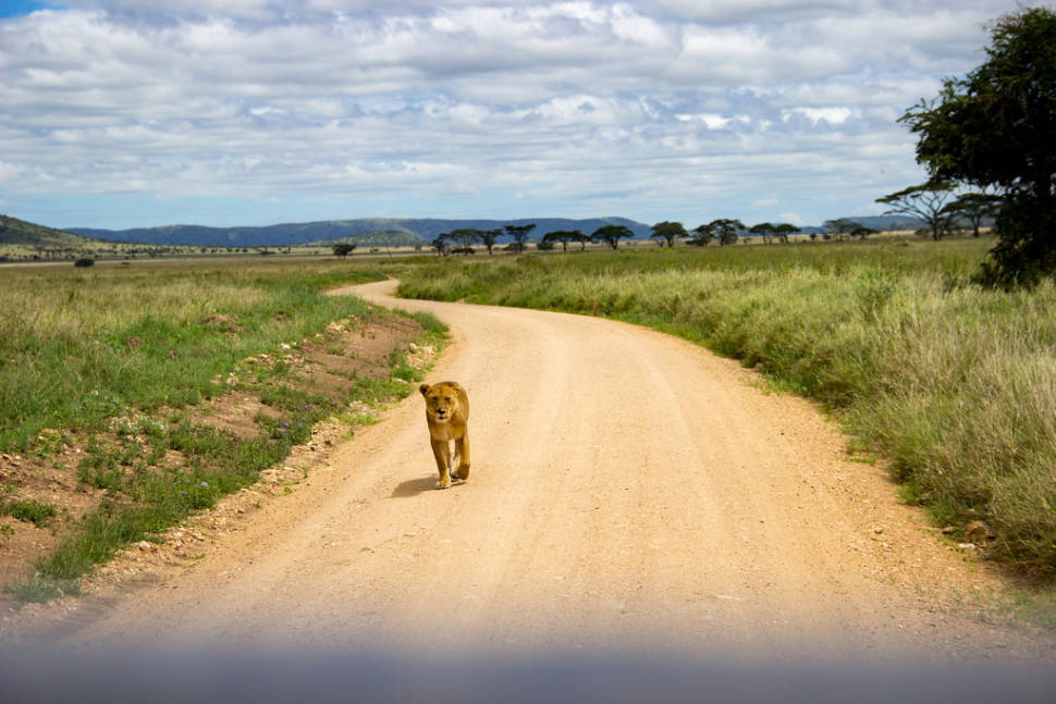 Low Season in Tanzania - Best Time