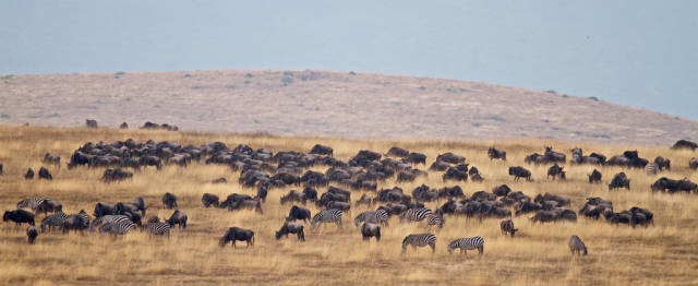 Best time for Ngorongoro Crater in Tanzania