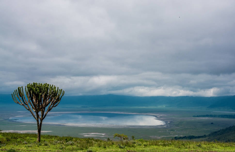 Ngorongoro Crater in Tanzania - Best Time