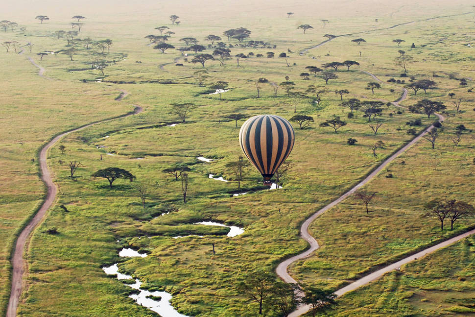 Best time to see Safari in Tanzania