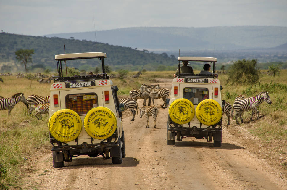 Safari in Tanzania - Best Time