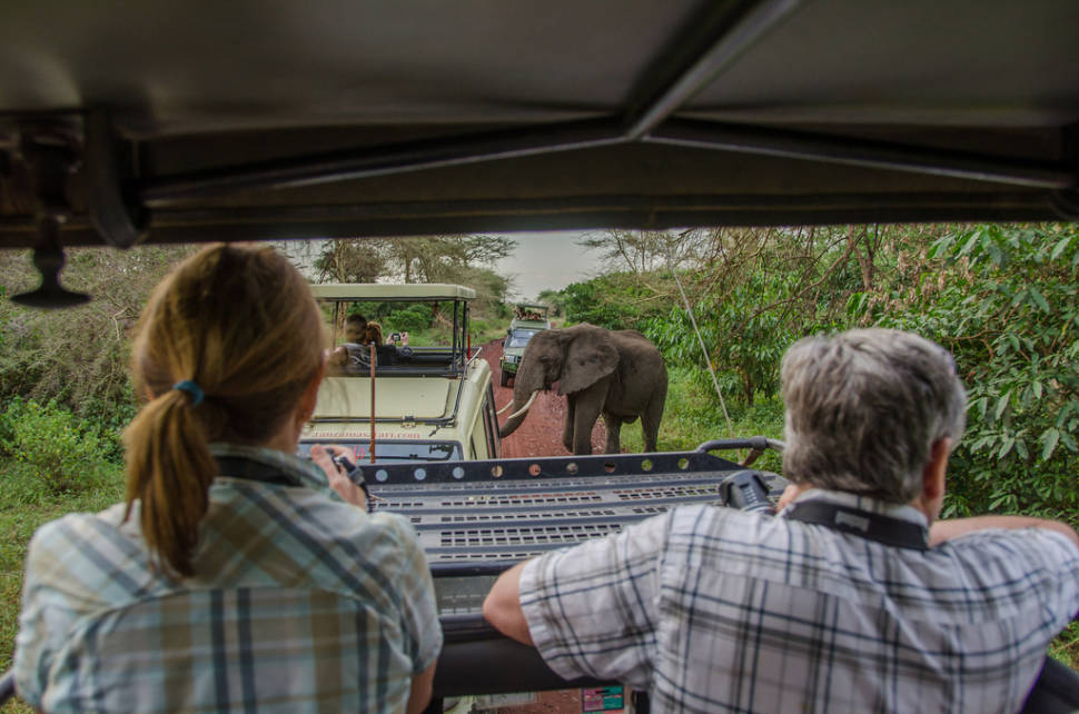 Best time for Safari in Tanzania