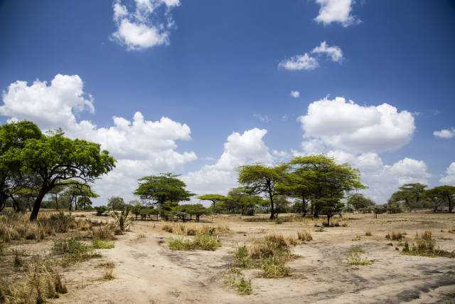 Short Dry Season in Tanzania - Best Time