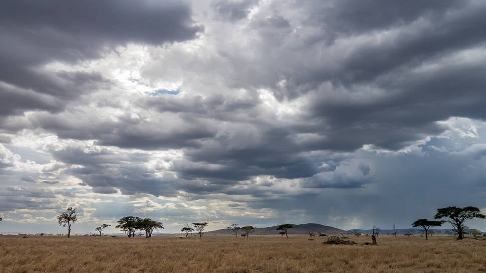 Short Rainy Season in Tanzania - Best Time