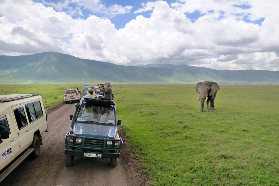 Shoulder Season in Tanzania - Best Time