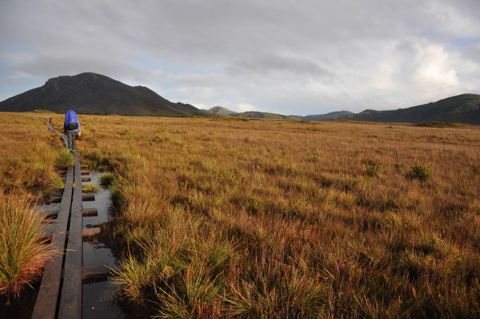 Bushwalking in Tasmania - Best Time