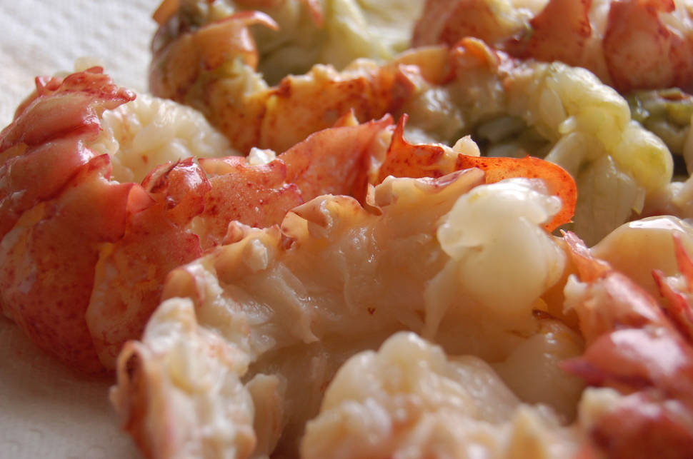 Lobster Season in Tasmania - Best Time