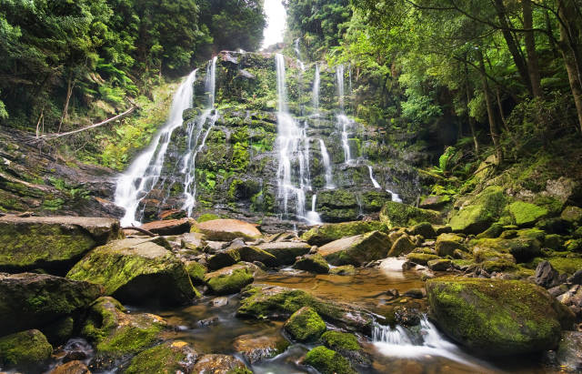 Nelson Falls at Best in Tasmania - Best Season