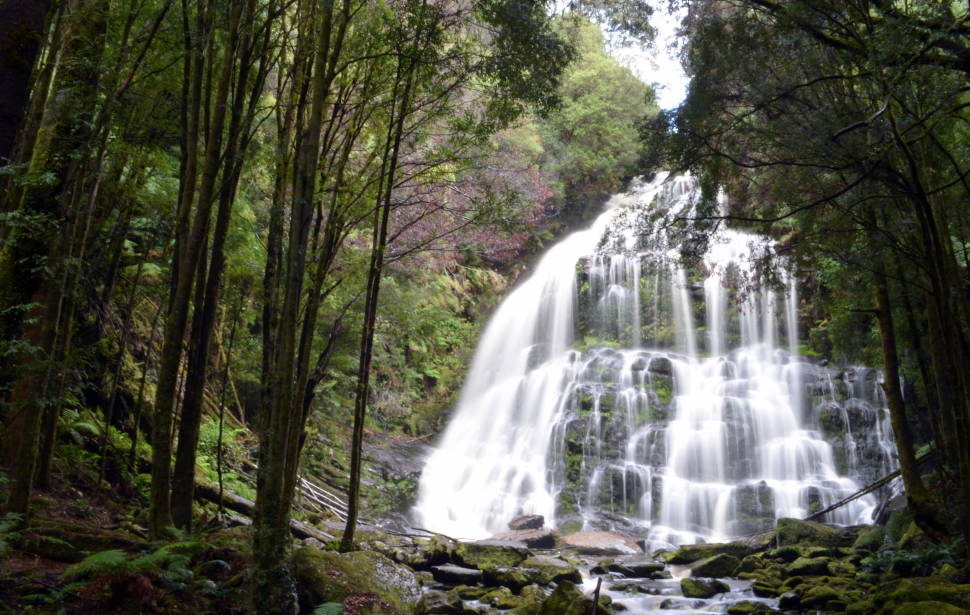 Nelson Falls at Best in Tasmania - Best Time