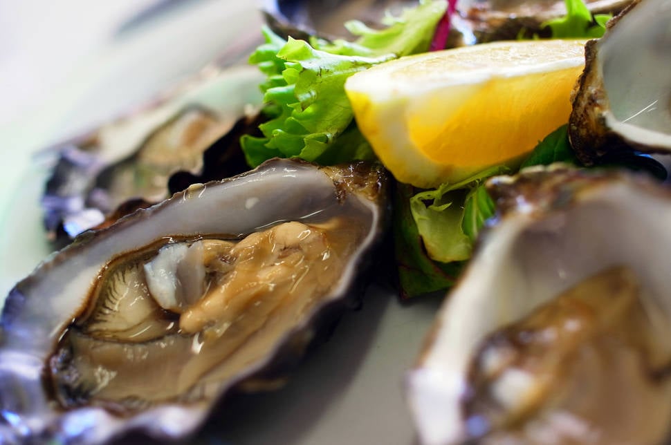 Pacific Oysters in Tasmania - Best Time