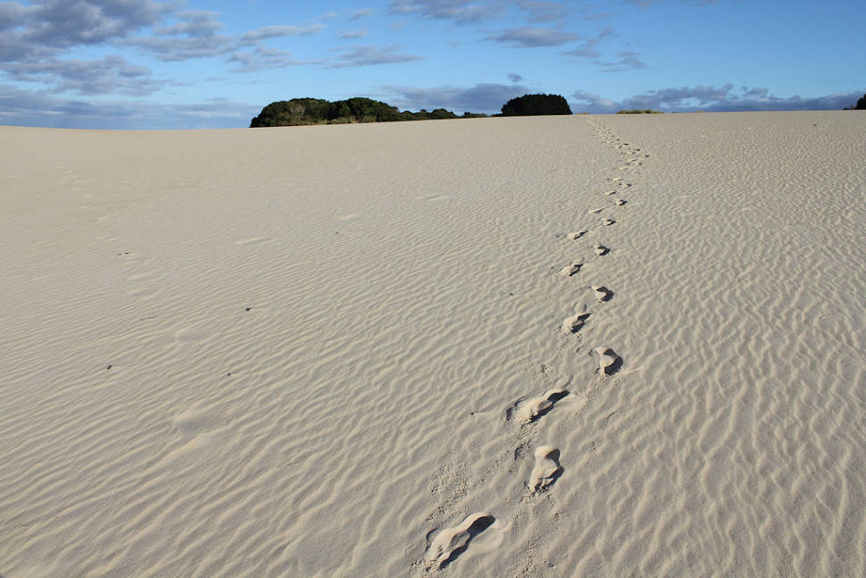 Sandboarding Season in Tasmania - Best Time