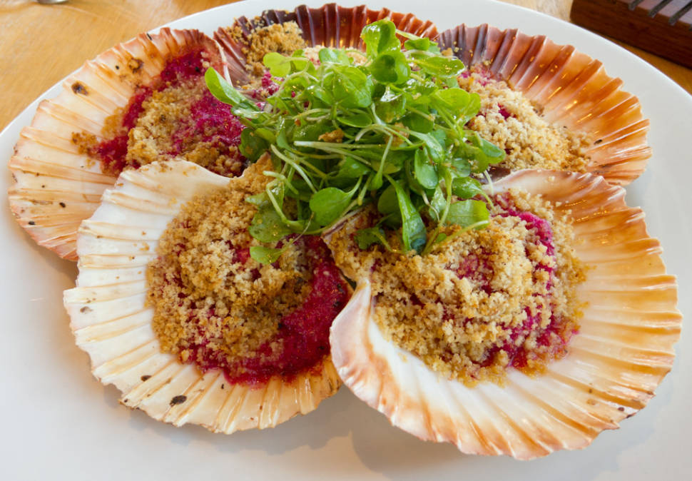 Best time for Scallop in Tasmania