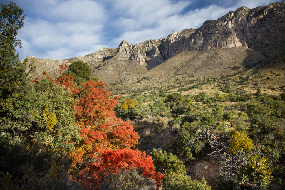 Autumn in Texas - Best Time